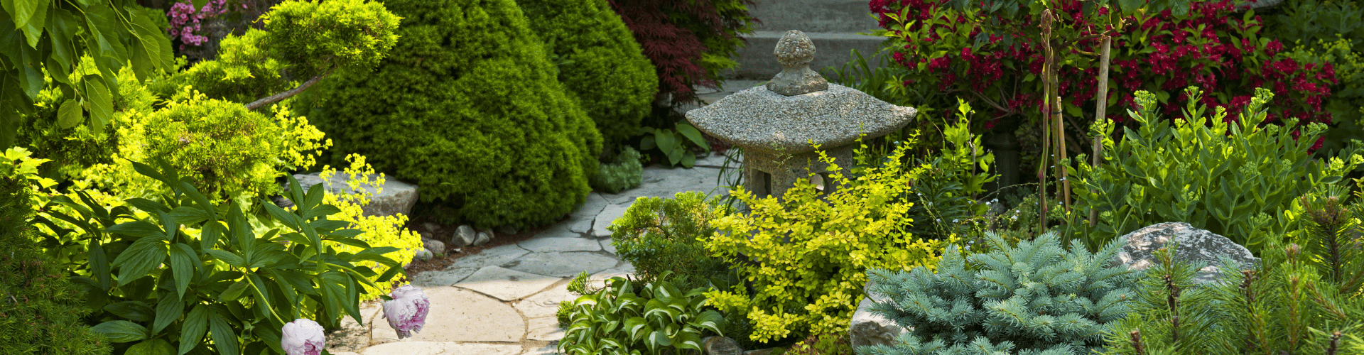 A garden with bushes and trees.