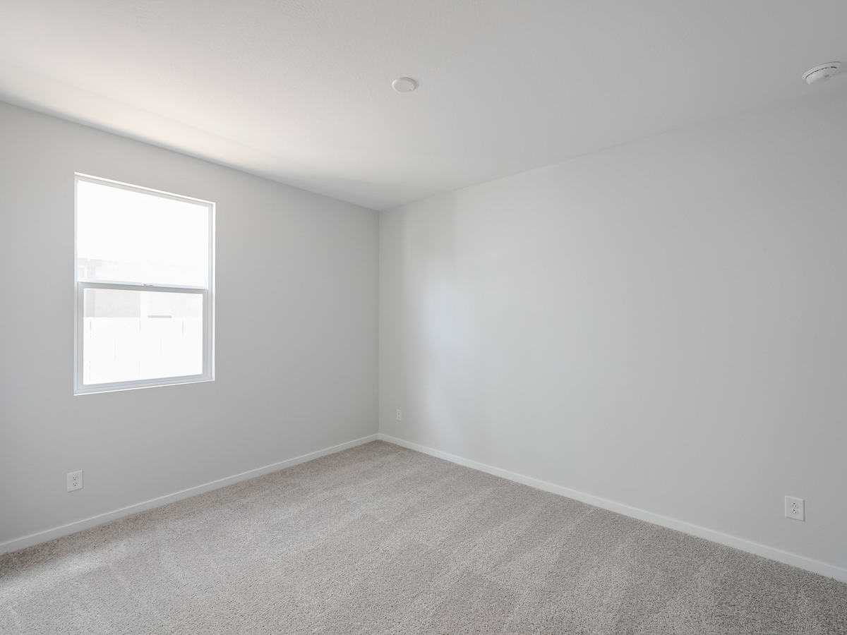 A room with a window and a carpet.