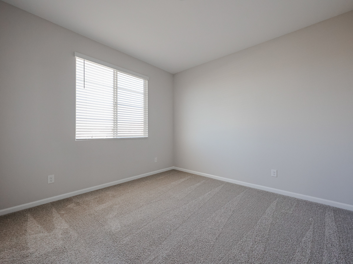 A room with a carpet and a window.