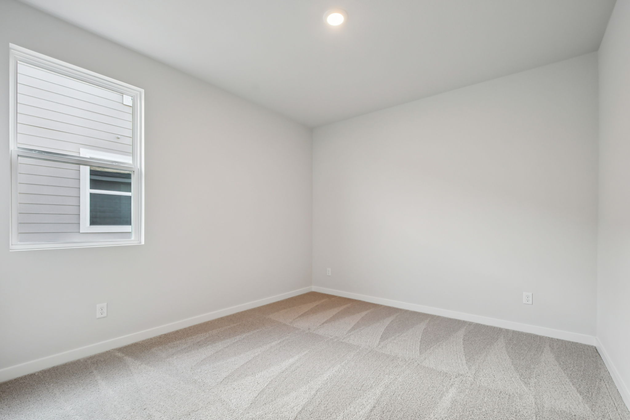 A room with a carpet and a window.