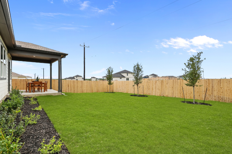 A backyard with a fence and a tree.
