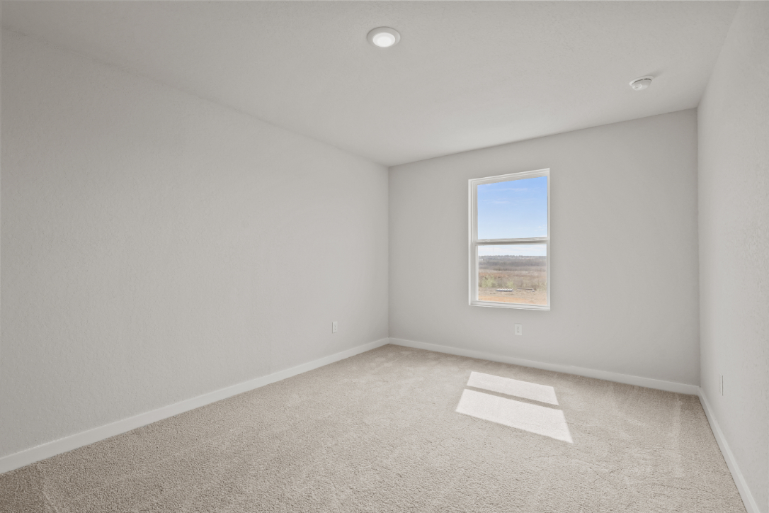 A room with a window and a rug.
