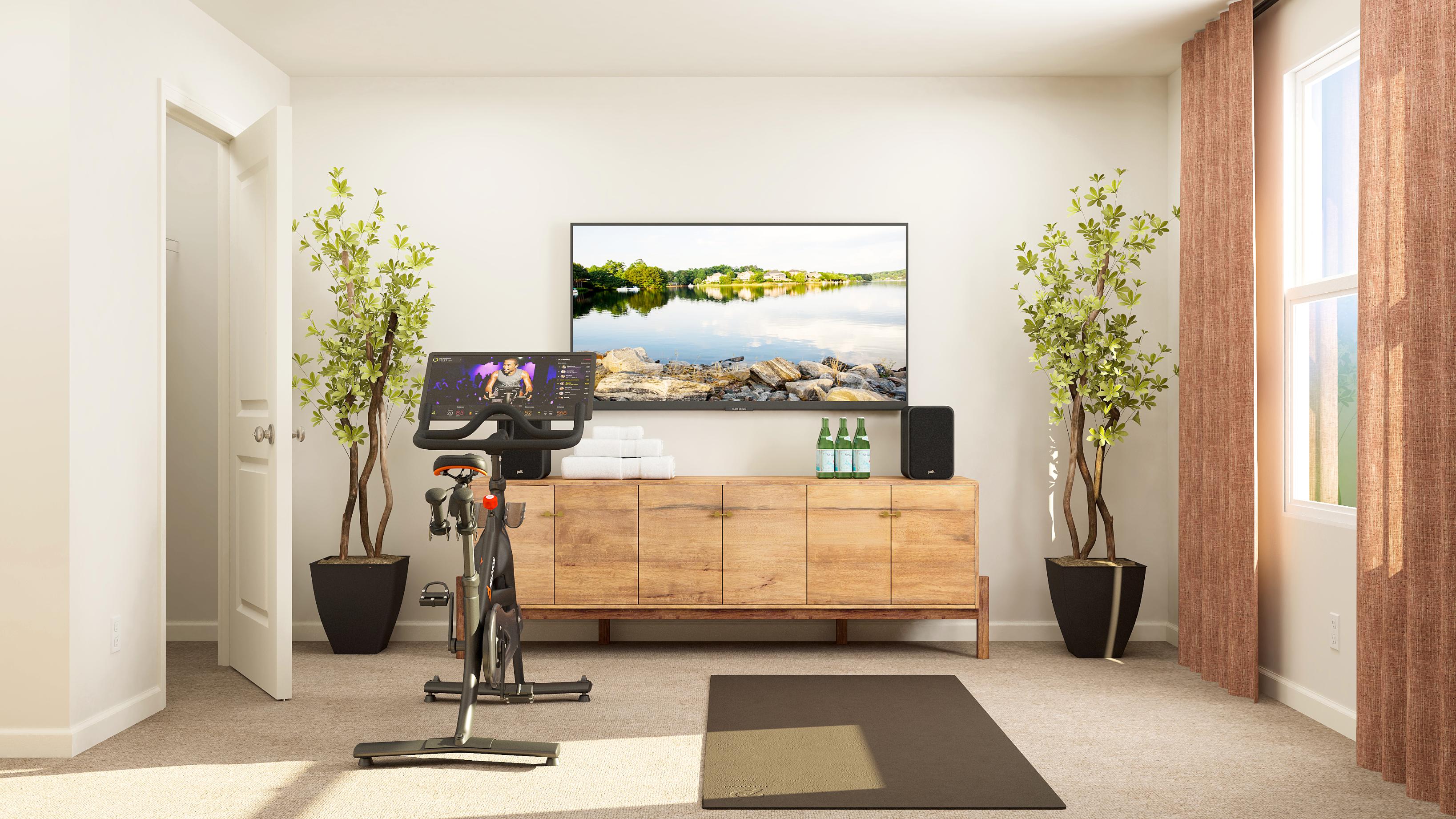 A room with a desk and a tv and plants.